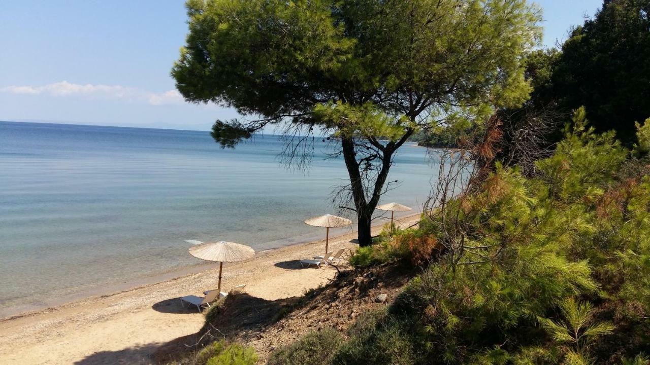 Paressa Villas Néa Fókaia Dış mekan fotoğraf